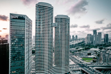 מגדלי הצעירים