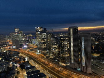 מגדלי הצעירים